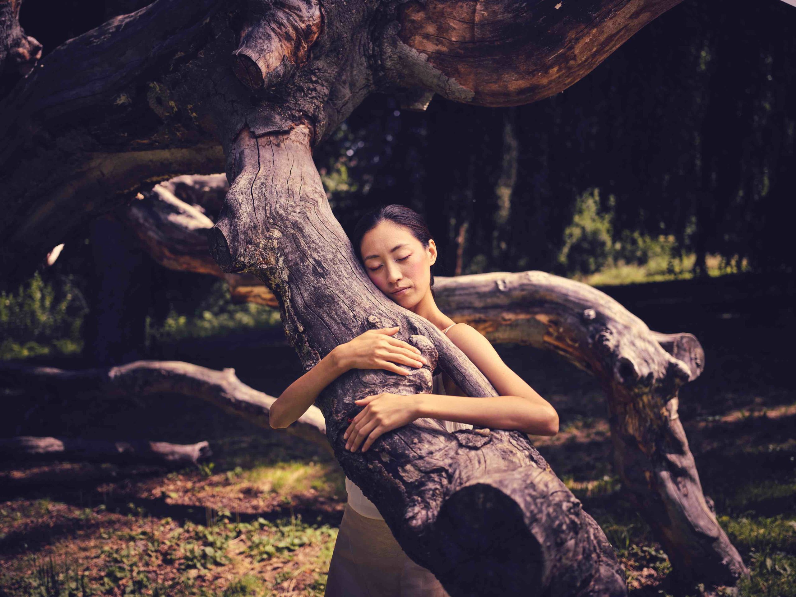 "treelover" sangeun lee: principal dancer semperoper photography: jörg simanowski styling/make up /hair : uta stabler